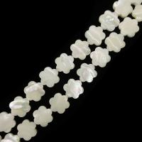 Perles de coquillages blancs, Lèvre blanche, fleur, DIY, blanc, 12mm Environ 15 pouce, Vendu par brin