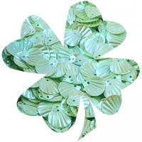 Plastic Sequin Beads, PVC Plastic, Shell, DIY & double-hole 13mm 