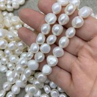 Bouton de culture des perles d'eau douce, perle d'eau douce cultivée, Irrégulière, DIY & normes différentes pour le choix, blanc Environ 14.57 , Vendu par brin