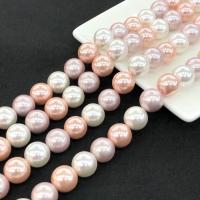 Shell Pearl Beads, Round, polished, DIY mixed colors Approx 15 Inch 