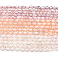 Rice Cultured Freshwater Pearl Beads, DIY 5-6mm .96 Inch 