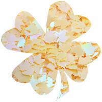 Plastic Sequin Beads, PVC Plastic, DIY 12mm 