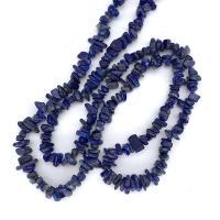 Edelstein-Chips, Lapislazuli, Unregelmäßige, poliert, blau, 5x8mm, Länge:ca. 33.46 ZollInch, verkauft von Strang