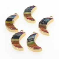 Impression Jasper Pendants, with Zinc Alloy, Moon, mixed colors 