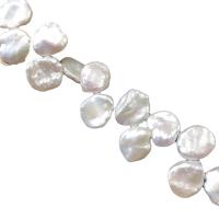 Perlas Keishi Cultivadas de Agua Dulce, perla, Blanco, 12-14mm, aproximado 40PCs/Sarta, Vendido por Sarta