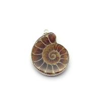 Trompette Shell pendentif en laiton, coquille de trompette, avec alliage de zinc, escargot, couleurs mélangées, 20x40- Vendu par PC