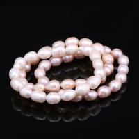 Bracelets de perles, perle d'eau douce cultivée, pour femme, plus de couleurs à choisir, 8-9mm, Environ Vendu par brin