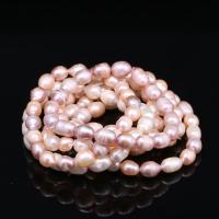 Bracelets de perles, perle d'eau douce cultivée, pour femme, plus de couleurs à choisir, 7-8mm, Environ Vendu par brin