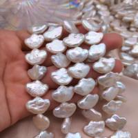 Perles de culture d'eau douce Keishi, perle, lingot, DIY, blanc Environ 15 pouce, Vendu par brin