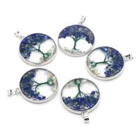 Pendentifs Lapis Lazuli, résine, avec Lapis lazuli & coquille & laiton, Plat rond, Placage, arbre de la conception de la vie & unisexe, bleu Vendu par PC