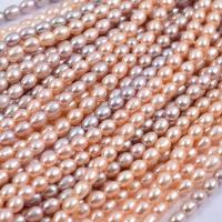 Rice Cultured Freshwater Pearl Beads, DIY 7-8mm cm 