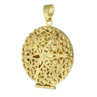 Brass Locket Pendants, gold color plated, fashion jewelry & DIY & with photo locket & for woman, golden Approx 4mm 