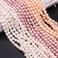 Rice Cultured Freshwater Pearl Beads, DIY 