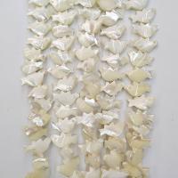 Natural White Shell Beads, Pigeon, polished, white, 5-35mm 