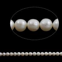 Round Cultured Freshwater Pearl Beads, natural Grade A, 7-8mm Approx 0.8mm Inch 