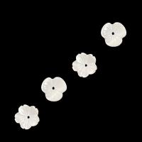 White Lip Shell Beads, DIY, white, 10mm 