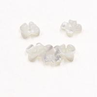 White Lip Shell Beads, DIY, white 