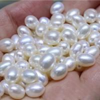 Natural Freshwater Pearl Loose Beads, DIY 