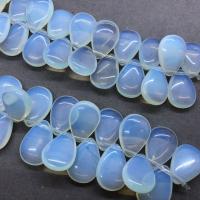 Meer Opal Perlen Schmuck, Tropfen, poliert, DIY, weiß, 10x12mm, Länge:ca. 17 cm, ca. 28PCs/Strang, verkauft von Strang