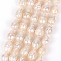 Baroque Cultured Freshwater Pearl Beads, DIY, white Approx 38 cm 