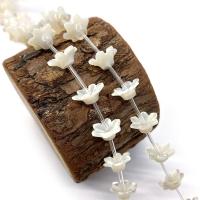 Natural White Shell Beads, Flower, DIY, white 