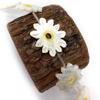 Natural White Shell Beads, Flower, DIY white 