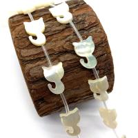 Natural White Shell Beads, Cat, DIY, white 