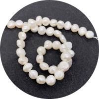 Bouton de culture des perles d'eau douce, perle d'eau douce cultivée, poli, DIY & normes différentes pour le choix, blanc Environ 14.96 pouce, Vendu par brin