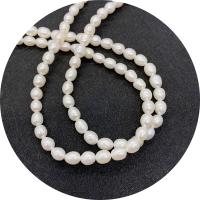 Perlas Arroz Freshwater, Perlas cultivadas de agua dulce, pulido, Bricolaje & diverso tamaño para la opción, Blanco, longitud:aproximado 14.96 Inch, Vendido por Sarta