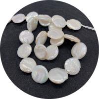 Pièce de culture des perles d'eau douce, perle d'eau douce cultivée, Plat rond, poli, DIY, blanc, 15-16mm Environ 14.96 pouce, Vendu par brin