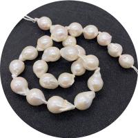 Baroque Cultured Freshwater Pearl Beads, irregular, polished, DIY, white, 12x18- Approx 14.96 Inch 