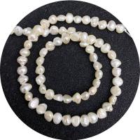 Keshi Cultured Freshwater Pearl Beads, irregular, polished, DIY white Approx 14.96 Inch 