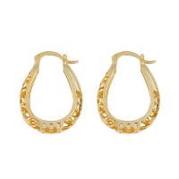 Zinc Alloy Hoop Earring, Round, plated, fashion jewelry & for woman 