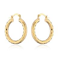 Brass Hoop Earring, gold color plated, for woman 