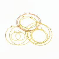 Boucle d'oreille en acier inoxydable Hoop, Acier inoxydable 304, Placage galvanique, bijoux de mode & DIY & unisexe & normes différentes pour le choix, plus de couleurs à choisir Vendu par sac