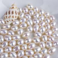 Natural Freshwater Pearl Loose Beads, Rice, DIY 