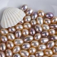 Natural Freshwater Pearl Loose Beads, Rice, DIY 