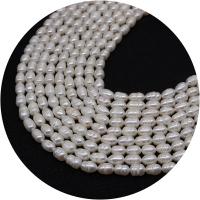 Keshi Cultured Freshwater Pearl Beads, irregular, polished, DIY white Approx 14.96 Inch 