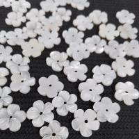 Natural White Shell Beads, Flower, DIY, white 