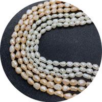 Keshi Cultured Freshwater Pearl Beads, polished, DIY Approx 14.96 Inch 