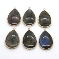 Labradorite Pendants, with Brass, Teardrop, gold color plated, DIY 