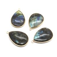 Labradorite Pendants, with Brass, Teardrop, gold color plated, DIY, black 