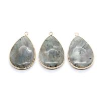 Labradorite Pendants, with Brass, Teardrop, gold color plated, DIY, grey 