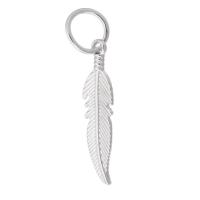 Zinc Alloy Feather Pendants, silver color plated, DIY, silver color Approx 6mm 