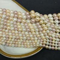 Shell Pearl Beads, Round, plated, DIY mixed colors Approx 14.96 Inch 