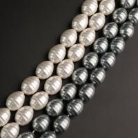 Shell Pearl Beads, DIY Approx 15.75 Inch 