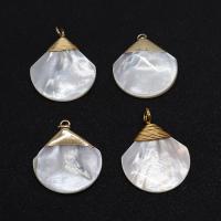 Pendentifs de coquillage naturel, coquille d'eau douce, avec laiton, éventail, Placage de couleur d'or, DIY & styles différents pour le choix, blanc Vendu par PC