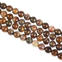 Pietersite Beads, Round, polished, DIY mixed colors Approx 14.96 Inch 