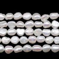 Keshi Cultured Freshwater Pearl Beads, DIY white Approx 36-38 cm 