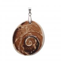 Coque de mer naturelle Pendentif, coquille, unisexe, couleurs mélangées Vendu par PC